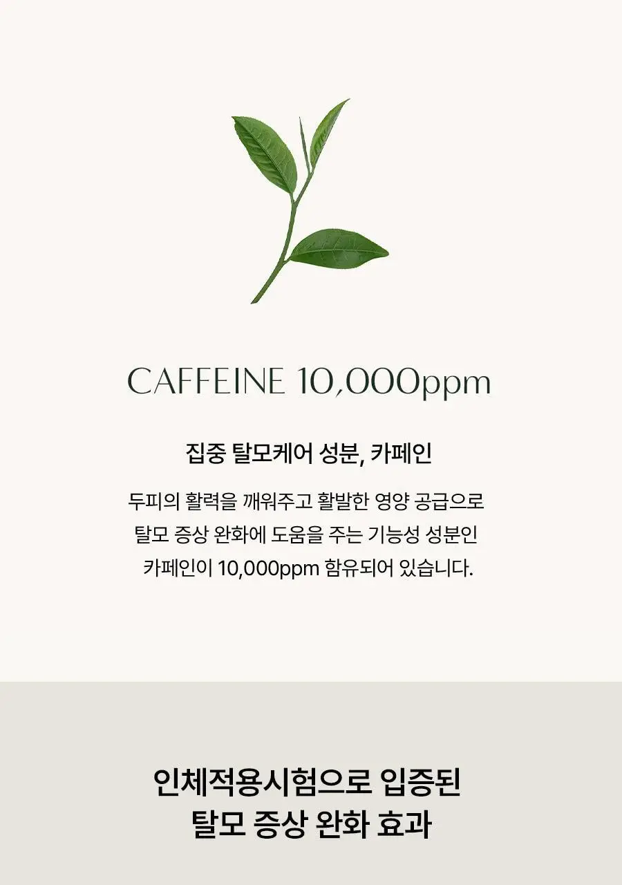 [4주완성탈모앰플/두피진정보습] 아로마티카 로즈마리 루트 볼류마이징 두피 앰플 20ml (단품/세트) 상세페이지 8